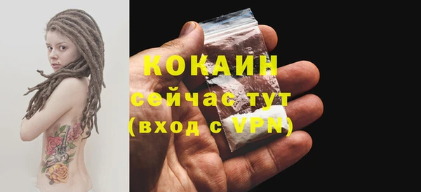 гидра Мегион