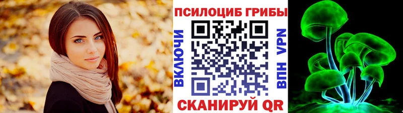 Галлюциногенные грибы Psilocybe Купить закладки Магадан